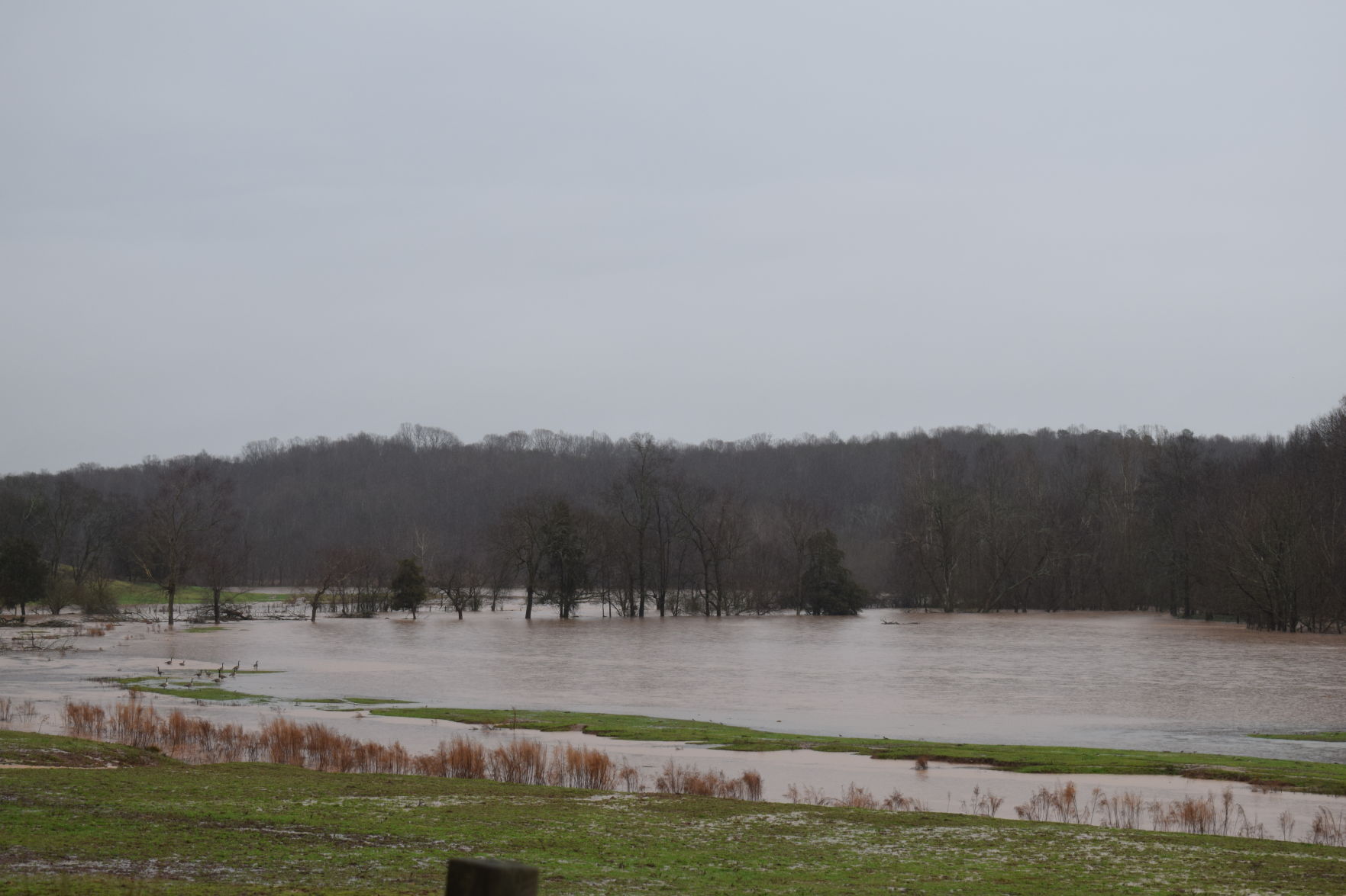 Flooding in Iredell (15).JPG